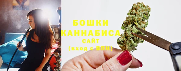 спиды Каменногорск