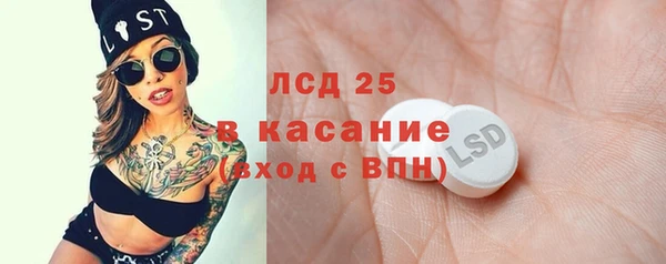 спиды Каменногорск