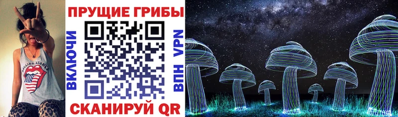 Галлюциногенные грибы Magic Shrooms продажа наркотиков Люберцы
